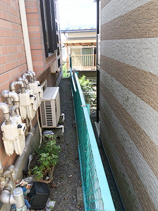 伐採・伐木施工事例2