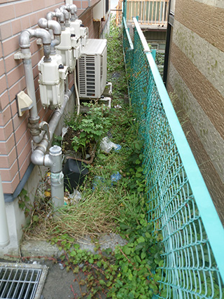 伐採・伐木施工事例2