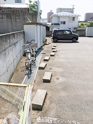 伐採・伐木施工事例3