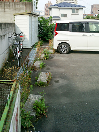 伐採・伐木施工事例3