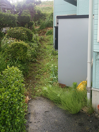 伐採・伐木施工事例4