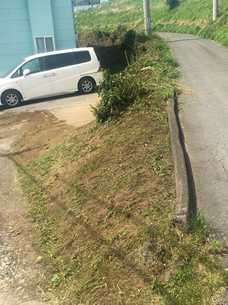 伐採・伐木施工事例5