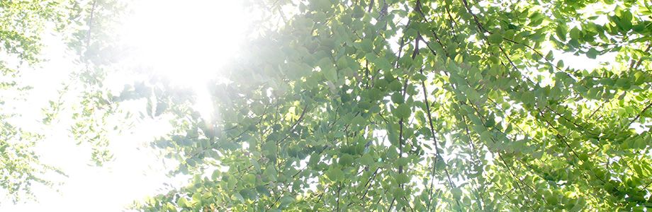 お問い合わせ｜クリーンさかもと